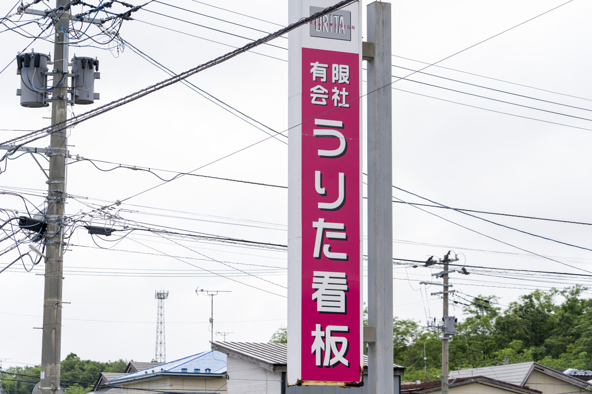DSC00019